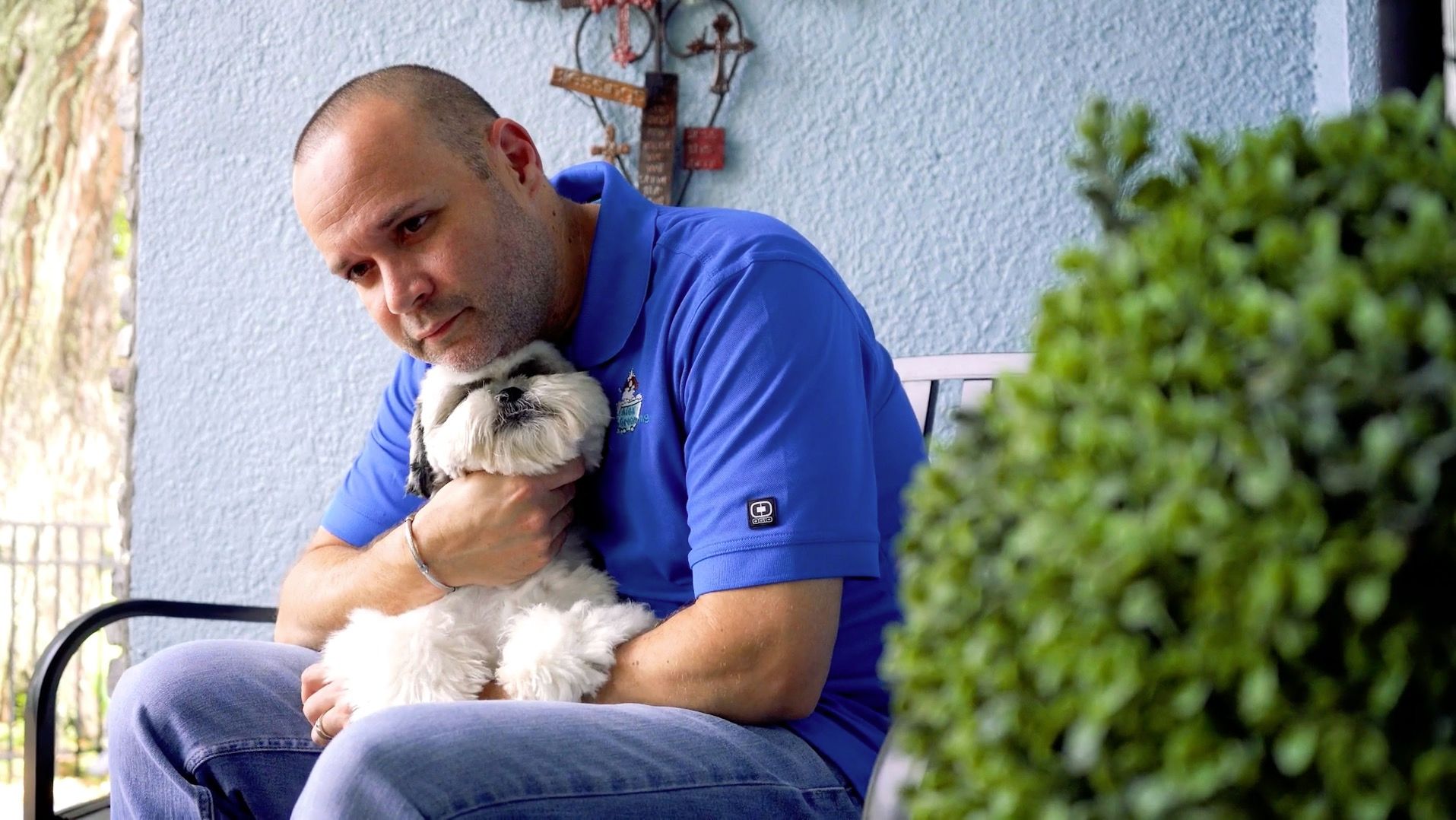 Introduction videos for dog grooming business